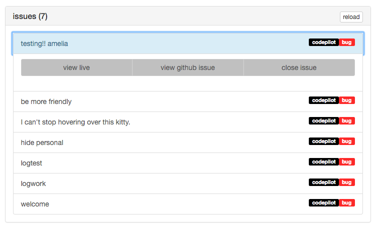 CodePilot Issue Management Interface